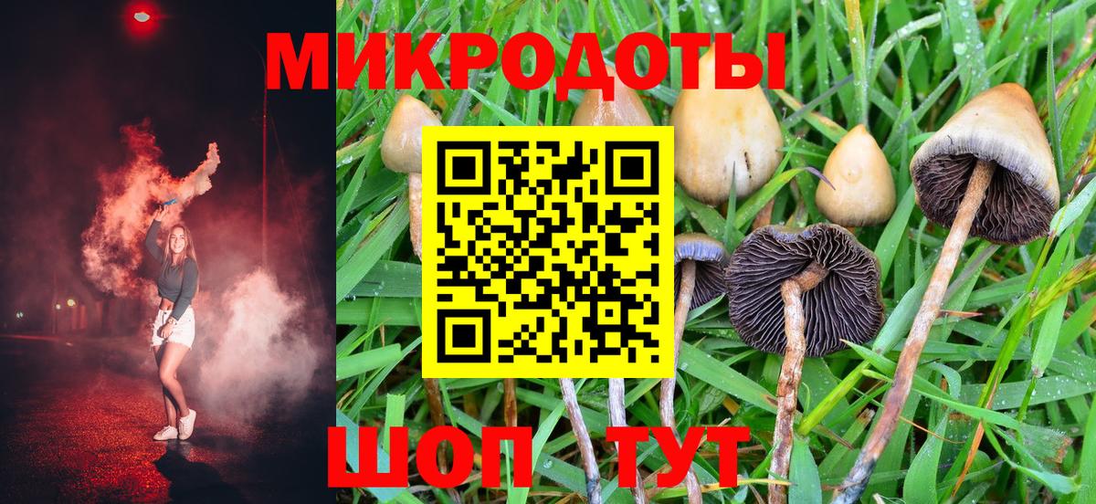 Галлюциногенные грибы Cubensis Пенза