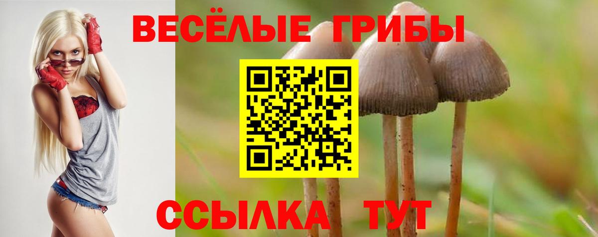 Галлюциногенные грибы GOLDEN TEACHER  Псилоцибиновые грибы Psilocybine cubensis  Пенза  Вход с VPN 